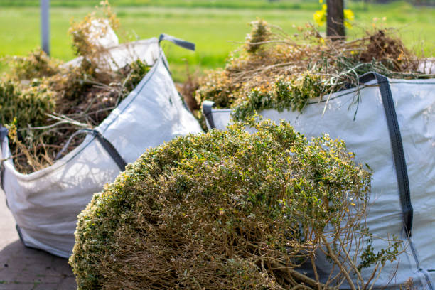 Best Dumpster Rental Services  in Belvedere, SC
